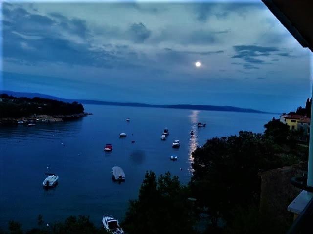 Villamar Beachfront With Free Private Parking Apartment Rabac