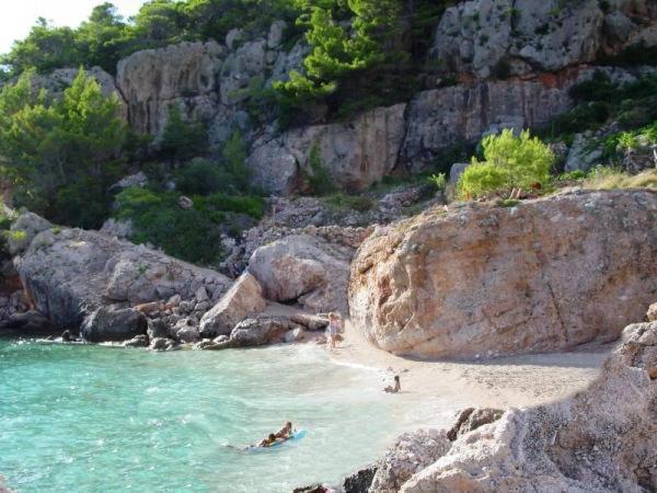 Villamar Beachfront With Free Private Parking Apartment